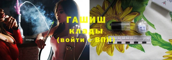 дживик Богородицк