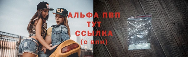 дживик Богородицк