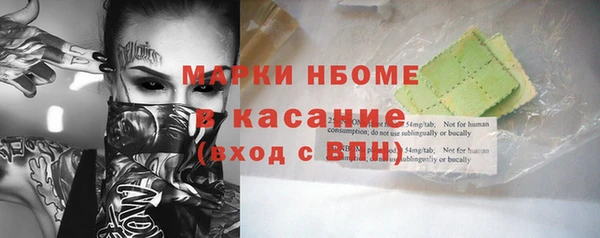 дживик Богородицк