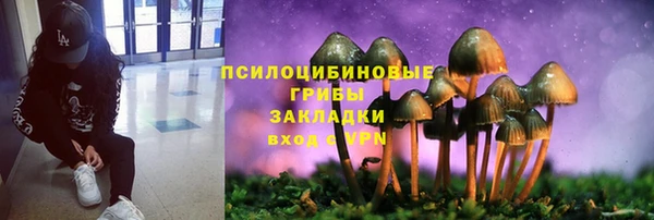 дживик Богородицк