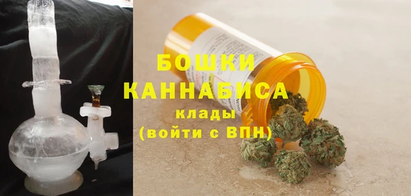 дживик Богородицк