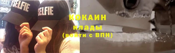 дживик Богородицк